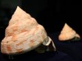 IMG_3510 IMG_3510