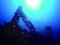 去年の作品から 去年の作品から